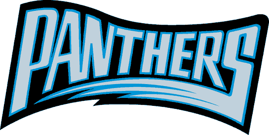 Carolina Panthers 1995 Wordmark Logo t shirt iron on transfers